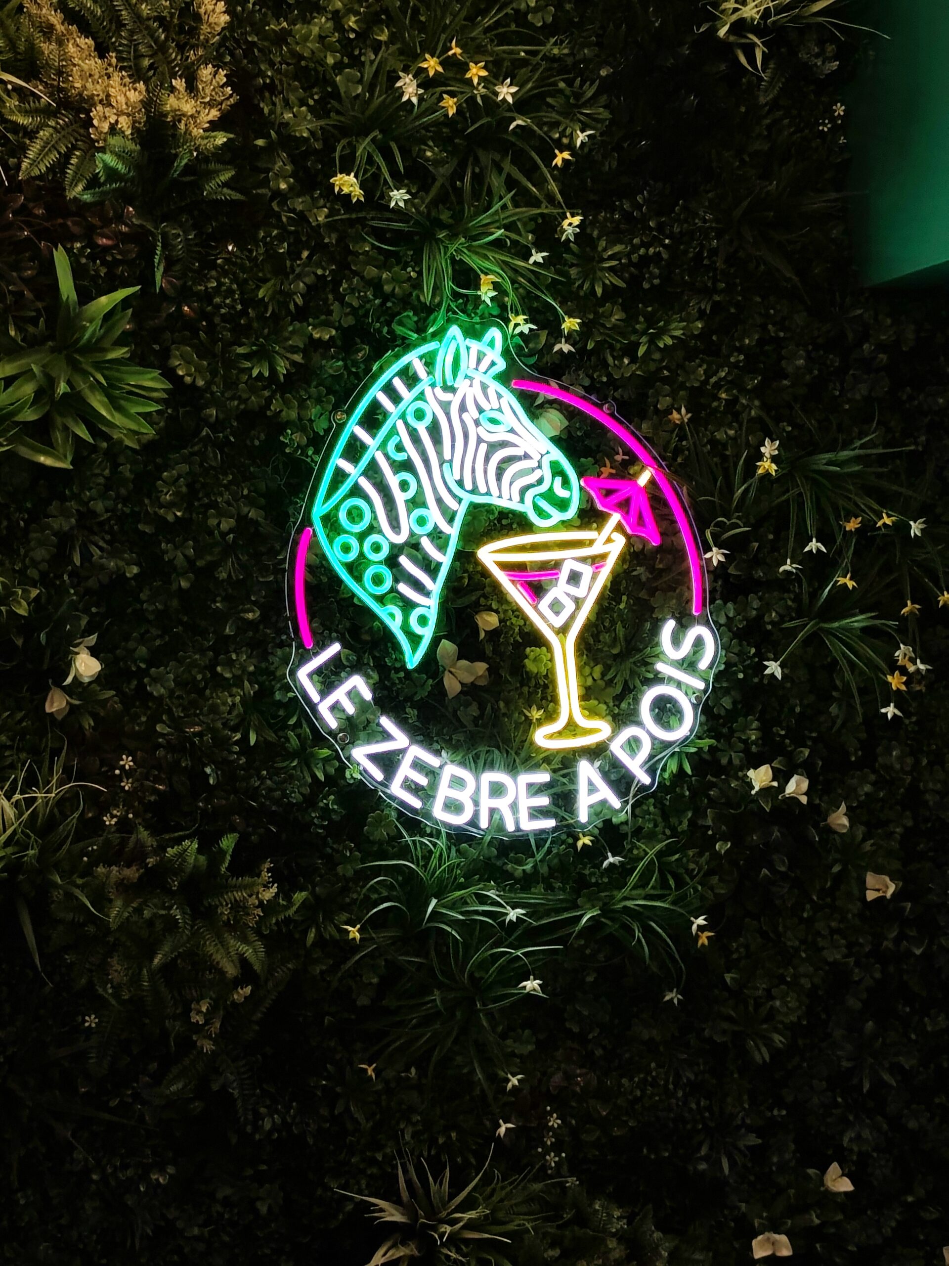 Neon Zebre a Pois